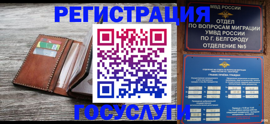 прописка 2025 в Волжске